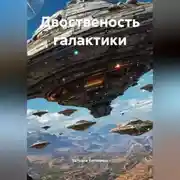 Постер книги Двоственость галактики