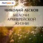 Постер книги Мелочи архиерейской жизни