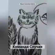 Постер книги Команда Случая