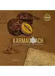 Алексей Ситников - Karmacoach. Часть 1
