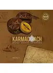 Алексей Ситников - Karmacoach. Часть 2