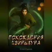 Постер книги Похождения Цзиньлуна. Часть 1. Становление одного реинкарнатора