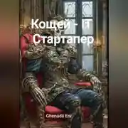 Постер книги Кощей – IT Стартапер