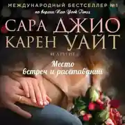 Постер книги Место встреч и расставаний