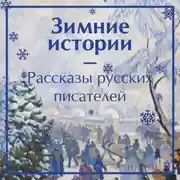Постер книги Зимние истории. Рассказы русских писателей