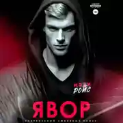 Постер книги Явор