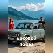 Постер книги Боковой порез