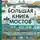 Айрат Багаутдинов - Большая книга мостов