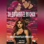 Постер книги Он догонял ее во снах: пора проснуться принцесса