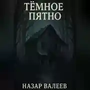 Постер книги Тёмное пятно