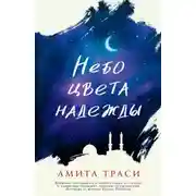 Постер книги Небо цвета надежды