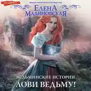 Постер книги Ведьминские истории. Лови ведьму!