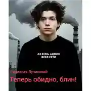 Постер книги Теперь обидно, блин!