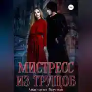 Постер книги Мистресс из трущоб