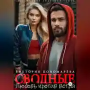 Постер книги Сводные. Любовь против ветра