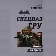 Постер книги Охота на брата