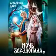 Постер книги Ночь звездопада