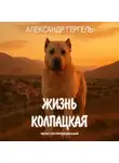Александр Гергель - Жизнь колпацкая