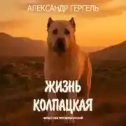 Постер книги Жизнь колпацкая