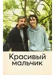 Шефф Дэвид - Красивый мальчик. Правдивая история отца, который боролся за сына