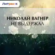 Постер книги Не выдержал