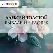 Постер книги Бывалый человек
