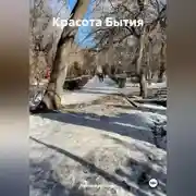 Постер книги Красота Бытия