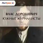 Постер книги Южные журналисты