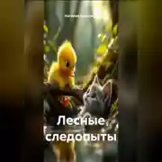 Постер книги Лесные Следопыты.