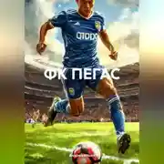 Постер книги ФК ПЕГАС