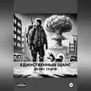 Постер книги Единственный шанс