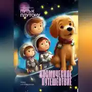 Постер книги Космическое приключение