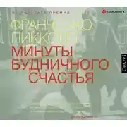 Постер книги Минуты будничного счастья