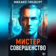 Постер книги Мистер Совершенство