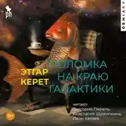 Постер книги Поломка на краю галактики