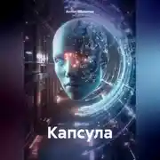 Постер книги Капсула