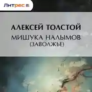 Постер книги Мишука Налымов (Заволжье)
