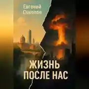 Постер книги Роман ЖИЗНЬ ПОСЛЕ НАС