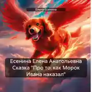 Постер книги Есенина Елена Анатольевна Сказка «Про то, как Морок Ивана наказал»