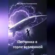 Постер книги Песчинка в горле Вселенной