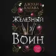 Постер книги Железный воин
