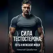 Постер книги Сила Тестостерона: Путь к Мужской Мощи