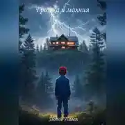 Постер книги Гришка и молния