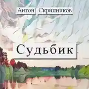 Постер книги Судьбик