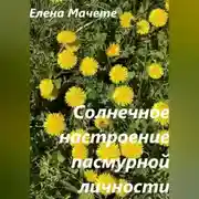 Постер книги Солнечное настроение пасмурной личности