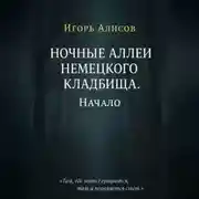 Постер книги Ночные аллеи Немецкого кладбища. Начало.