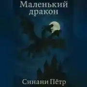 Постер книги Маленький Дракон