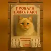 Постер книги Пропала кошка Лаки