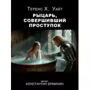 Постер книги Рыцарь, совершивший проступок