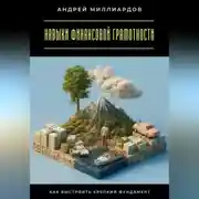 Постер книги Навыки финансовой грамотности. Как выстроить крепкий фундамент